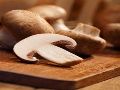 دورة لتدريب المرأة على زراعة الفطر في جمعية حوفا الوسطية